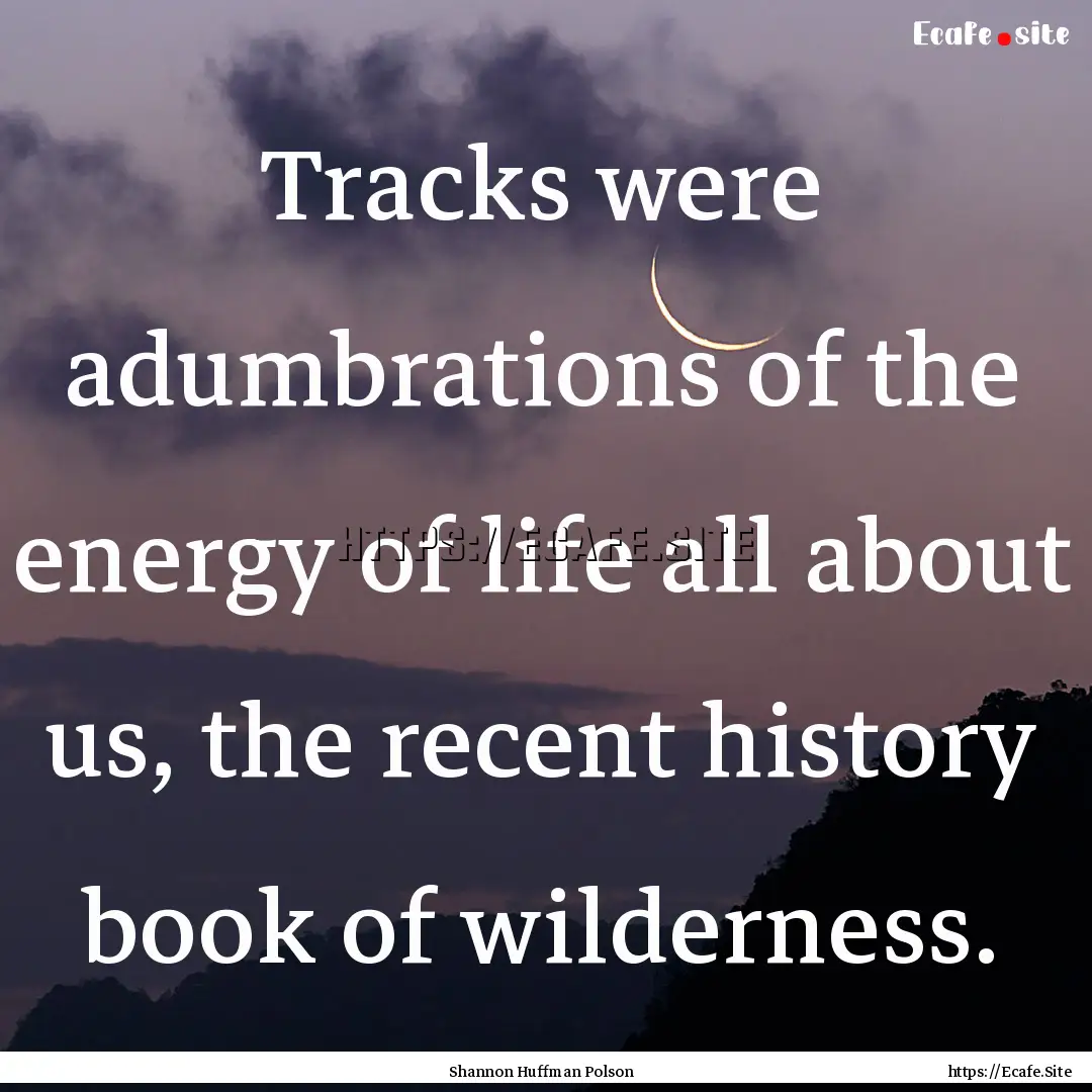 Tracks were adumbrations of the energy of.... : Quote by Shannon Huffman Polson