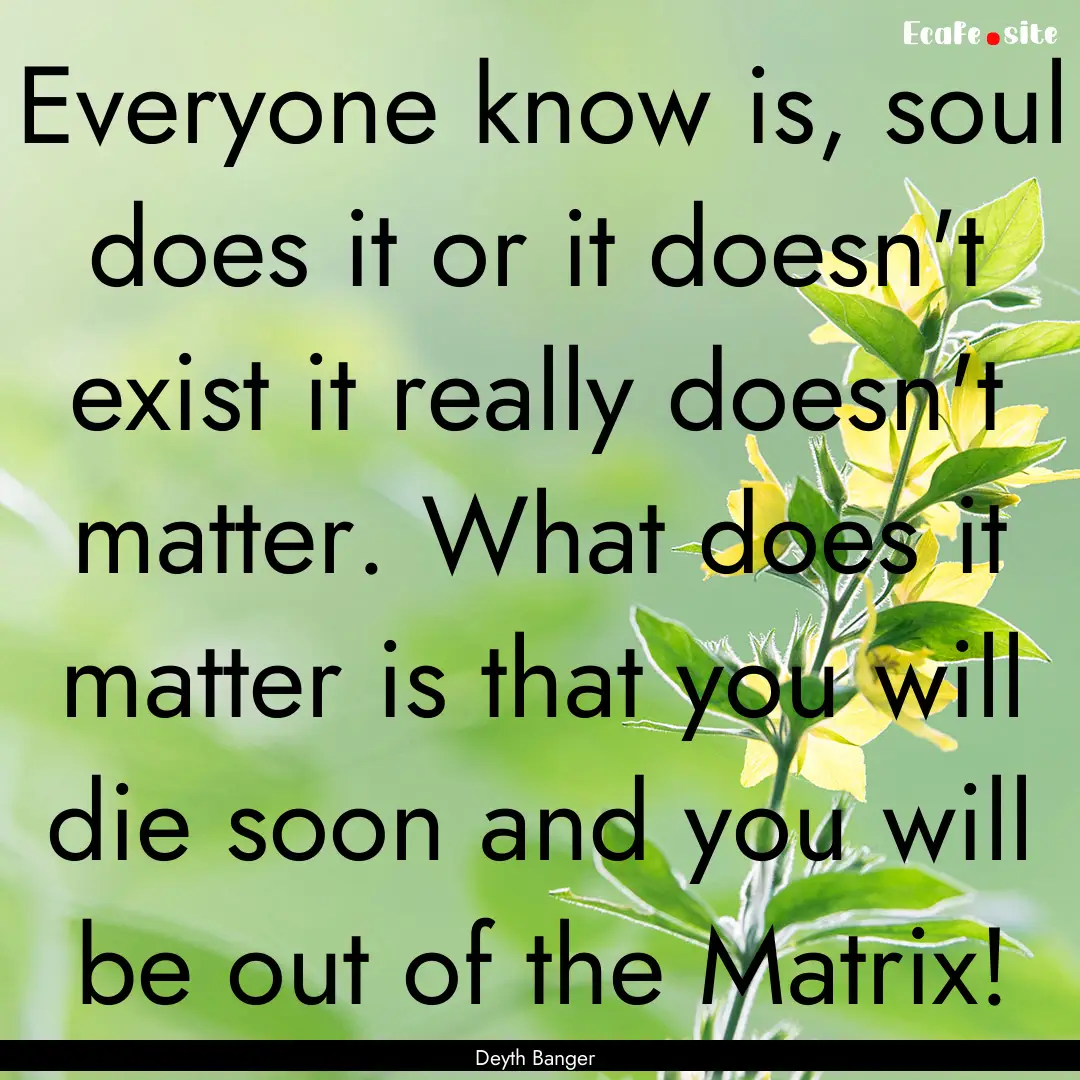 Everyone know is, soul does it or it doesn't.... : Quote by Deyth Banger