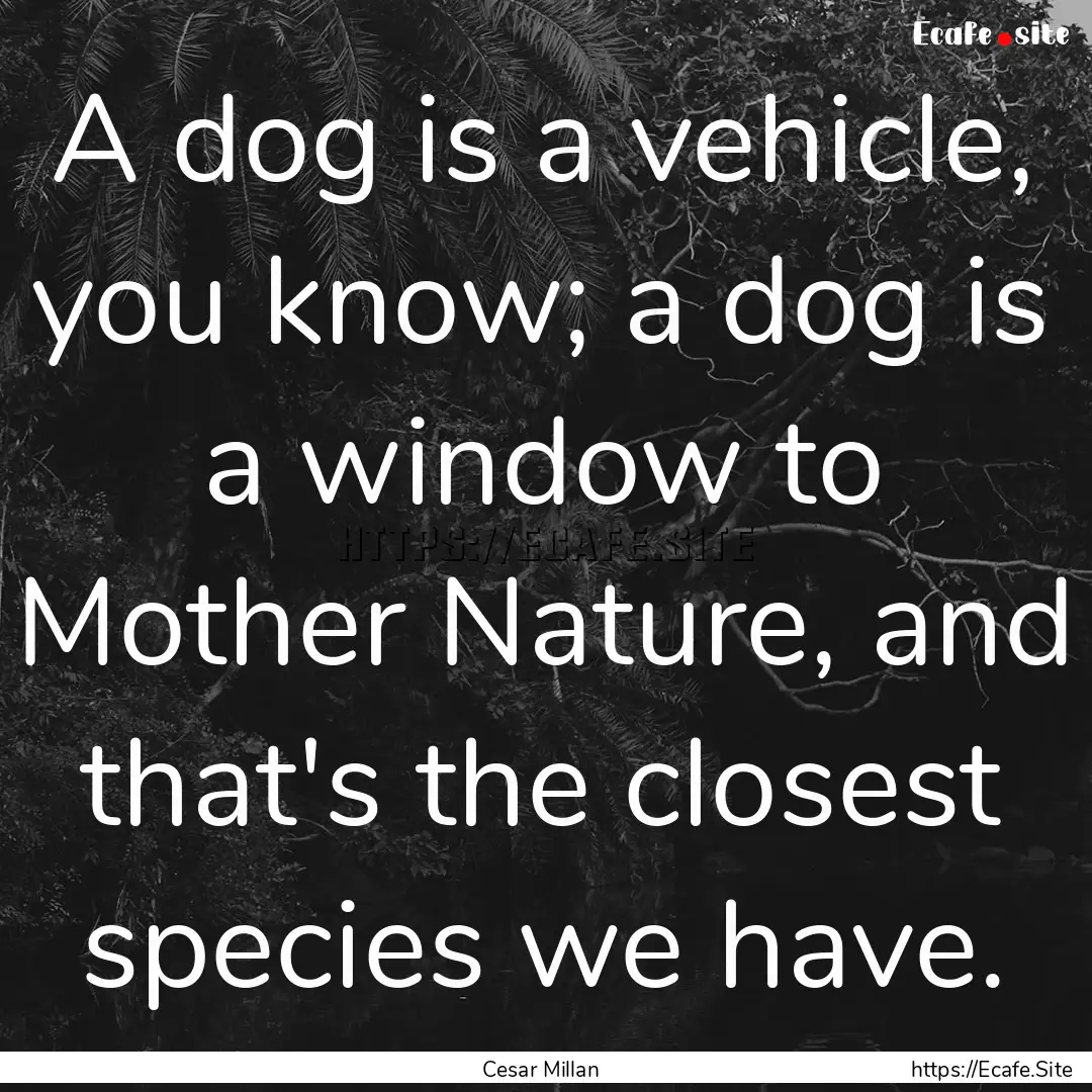 A dog is a vehicle, you know; a dog is a.... : Quote by Cesar Millan