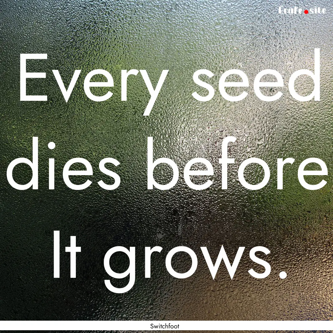 Every seed dies before It grows. : Quote by Switchfoot