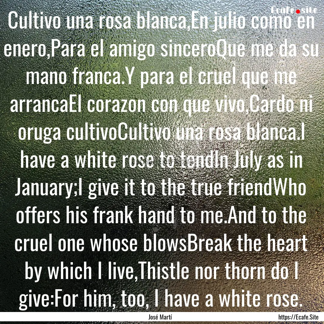 Cultivo una rosa blanca,En julio como en.... : Quote by José Martí