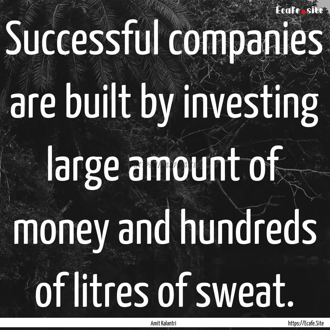 Successful companies are built by investing.... : Quote by Amit Kalantri