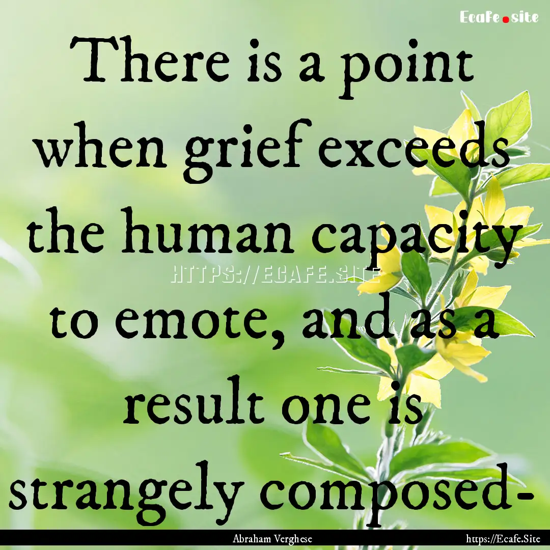 There is a point when grief exceeds the human.... : Quote by Abraham Verghese