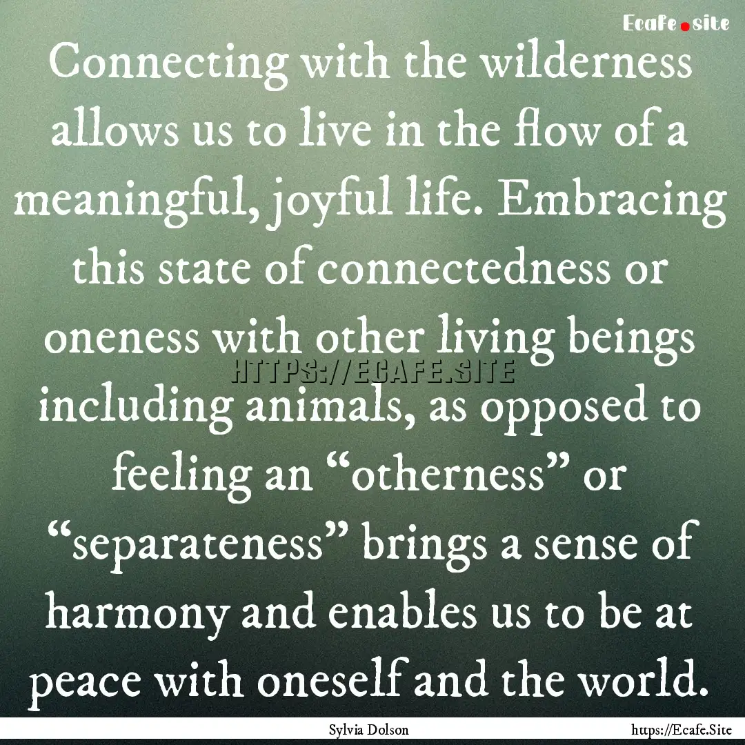 Connecting with the wilderness allows us.... : Quote by Sylvia Dolson