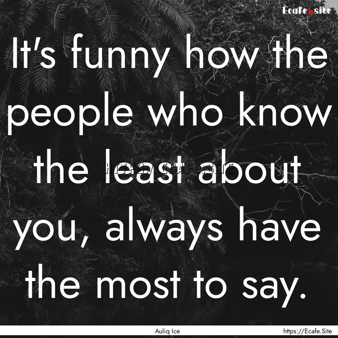 It's funny how the people who know the least.... : Quote by Auliq Ice