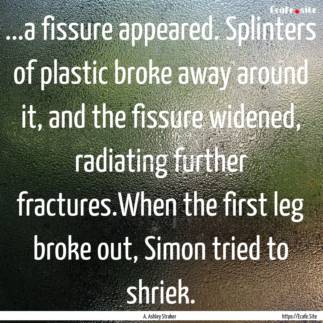 ...a fissure appeared. Splinters of plastic.... : Quote by A. Ashley Straker