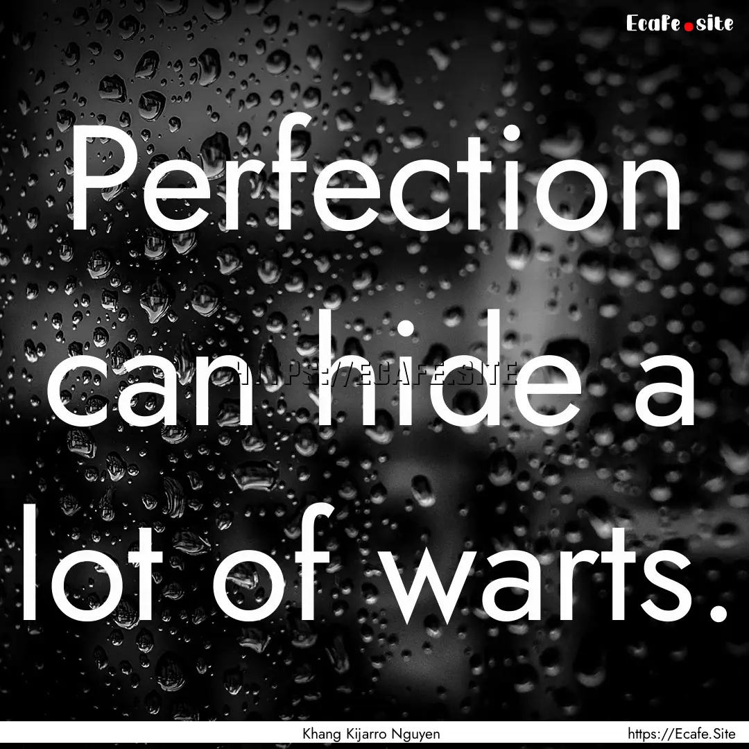 Perfection can hide a lot of warts. : Quote by Khang Kijarro Nguyen