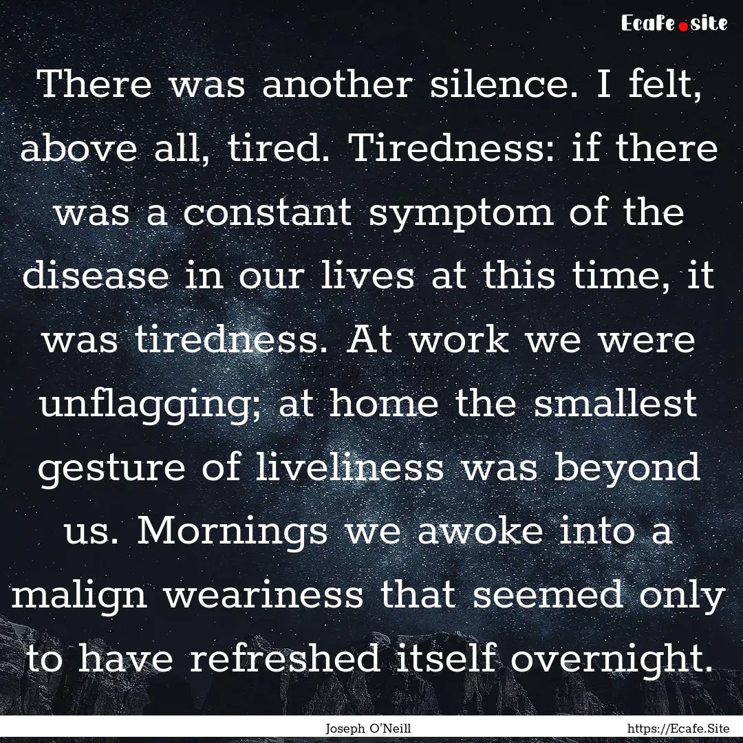 There was another silence. I felt, above.... : Quote by Joseph O'Neill