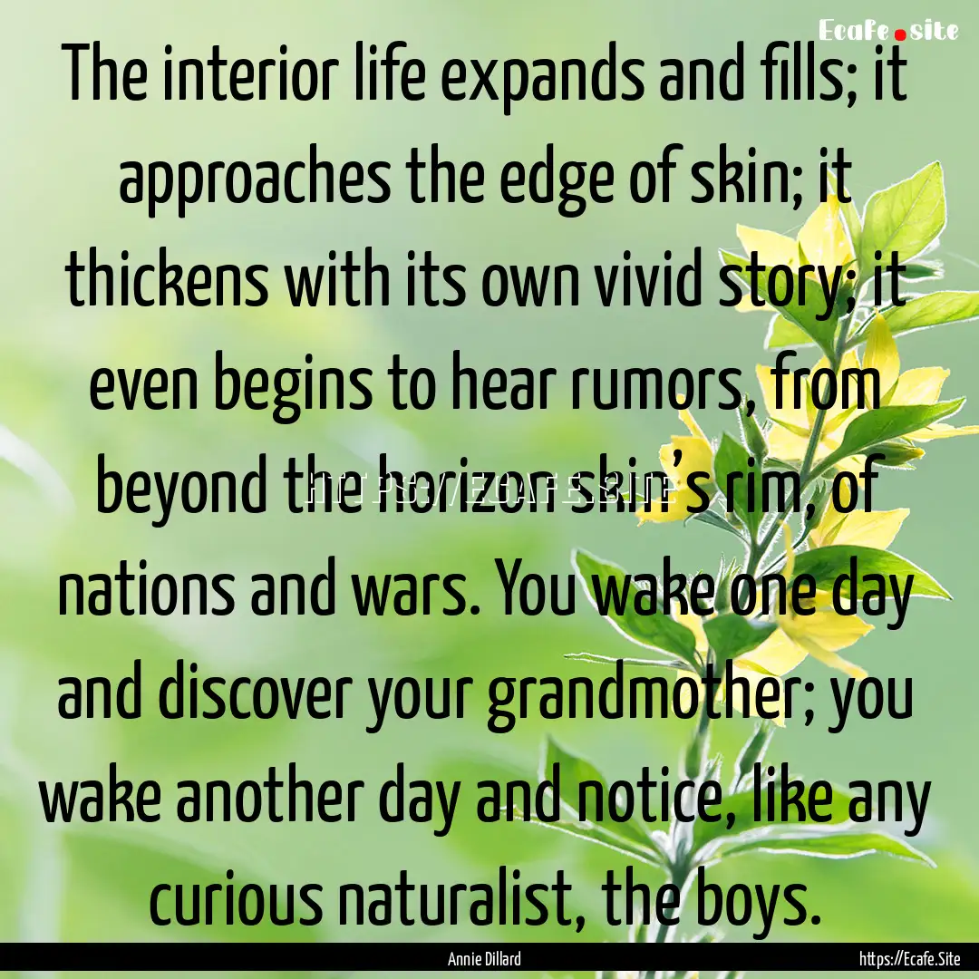 The interior life expands and fills; it approaches.... : Quote by Annie Dillard