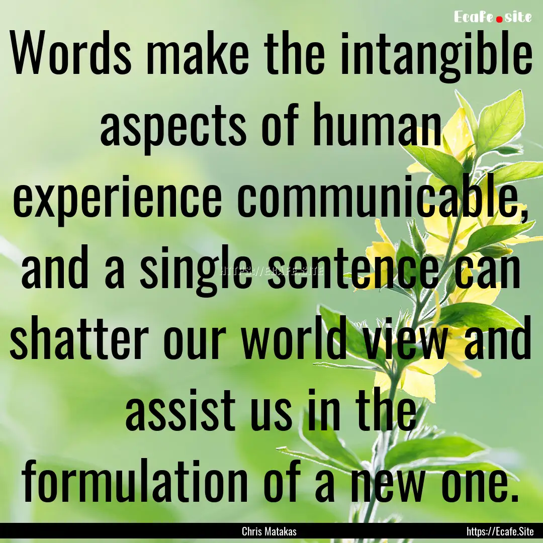 Words make the intangible aspects of human.... : Quote by Chris Matakas