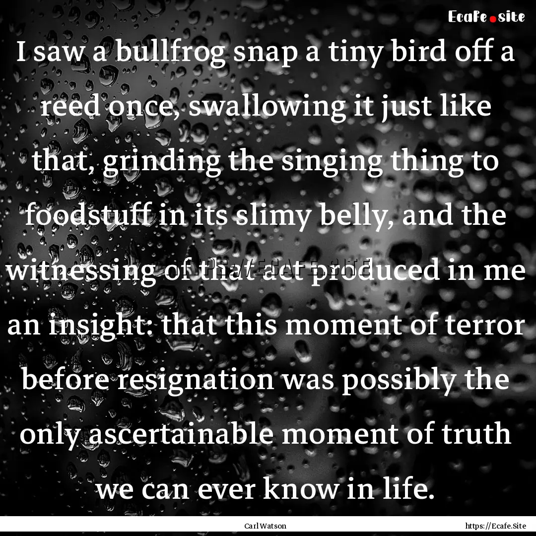 I saw a bullfrog snap a tiny bird off a reed.... : Quote by Carl Watson