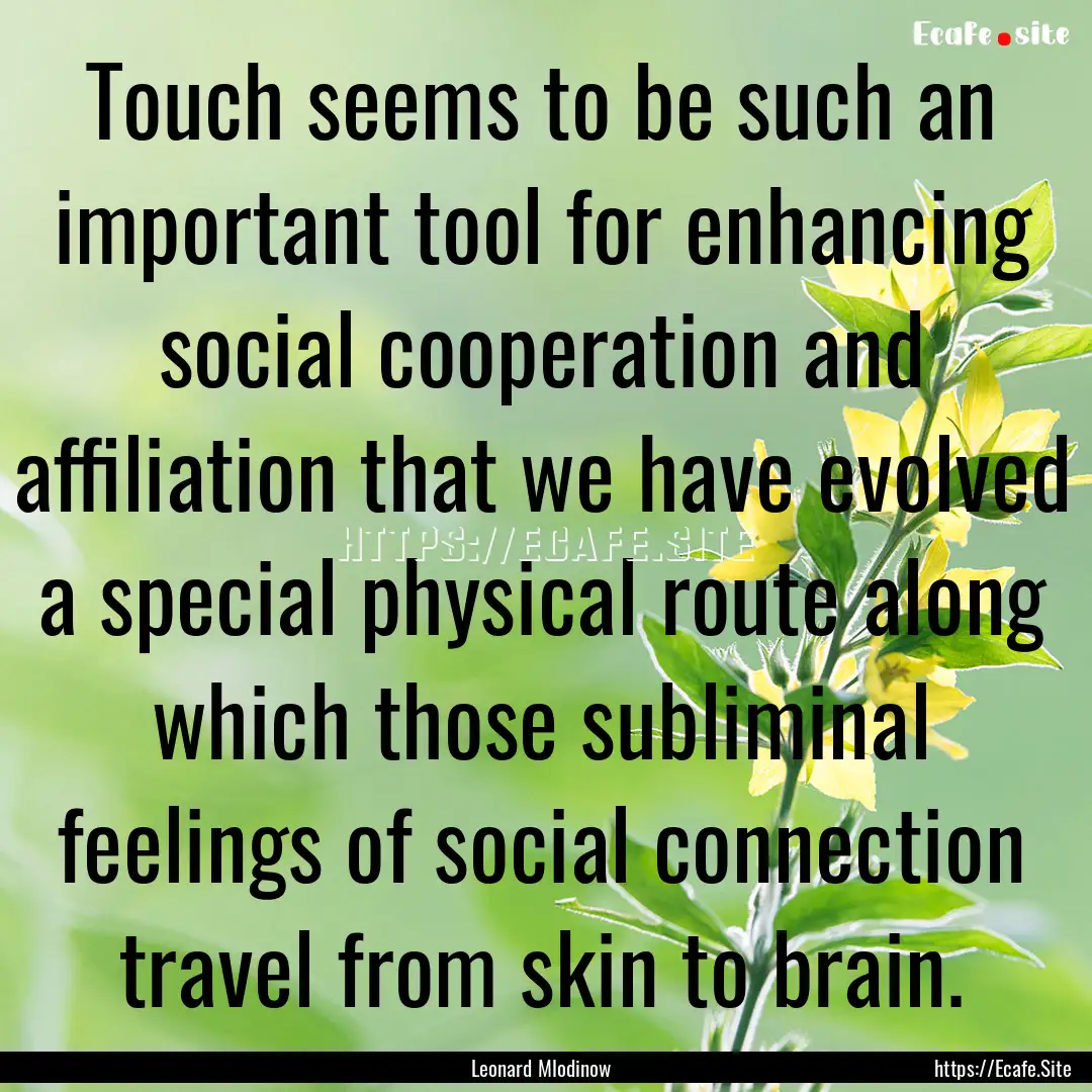 Touch seems to be such an important tool.... : Quote by Leonard Mlodinow