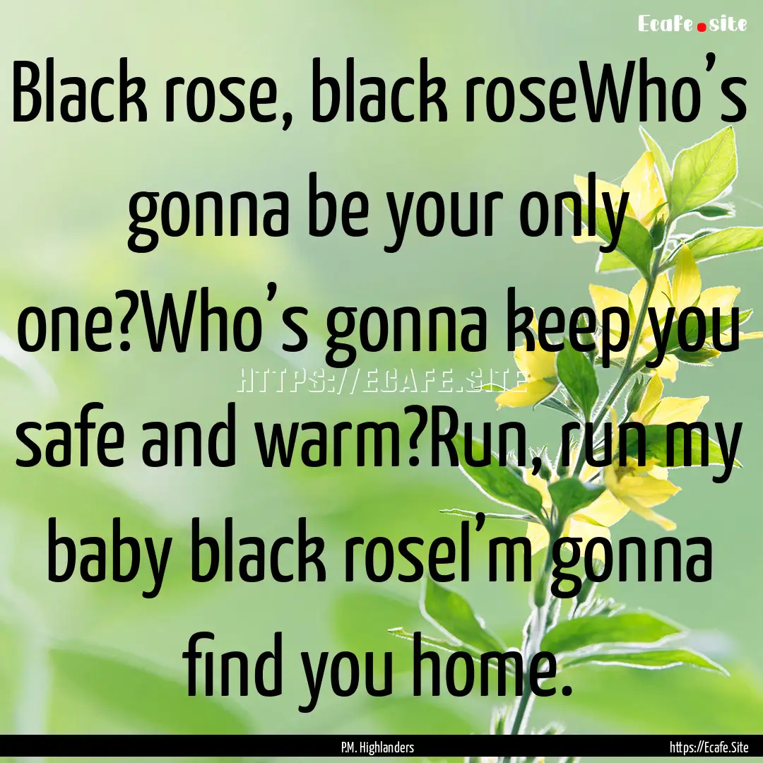 Black rose, black roseWho’s gonna be your.... : Quote by P.M. Highlanders