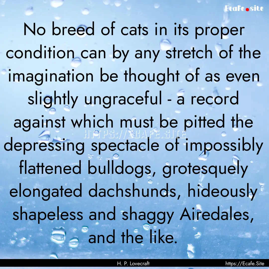 No breed of cats in its proper condition.... : Quote by H. P. Lovecraft