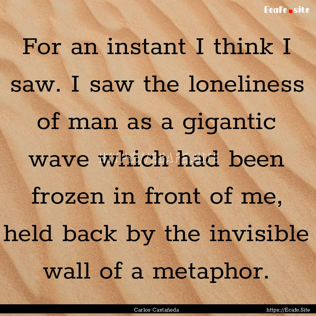 For an instant I think I saw. I saw the loneliness.... : Quote by Carlos Castañeda