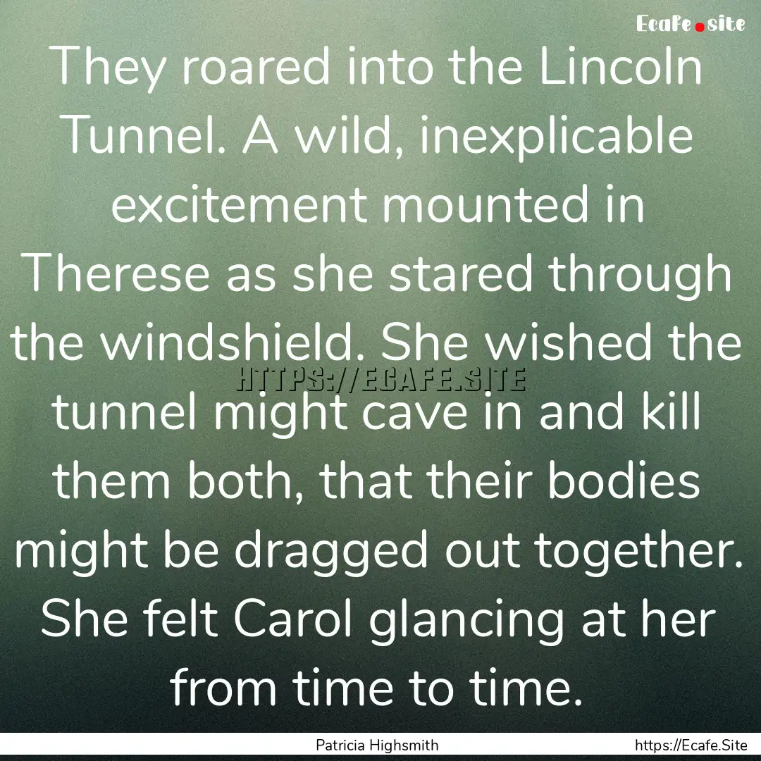 They roared into the Lincoln Tunnel. A wild,.... : Quote by Patricia Highsmith