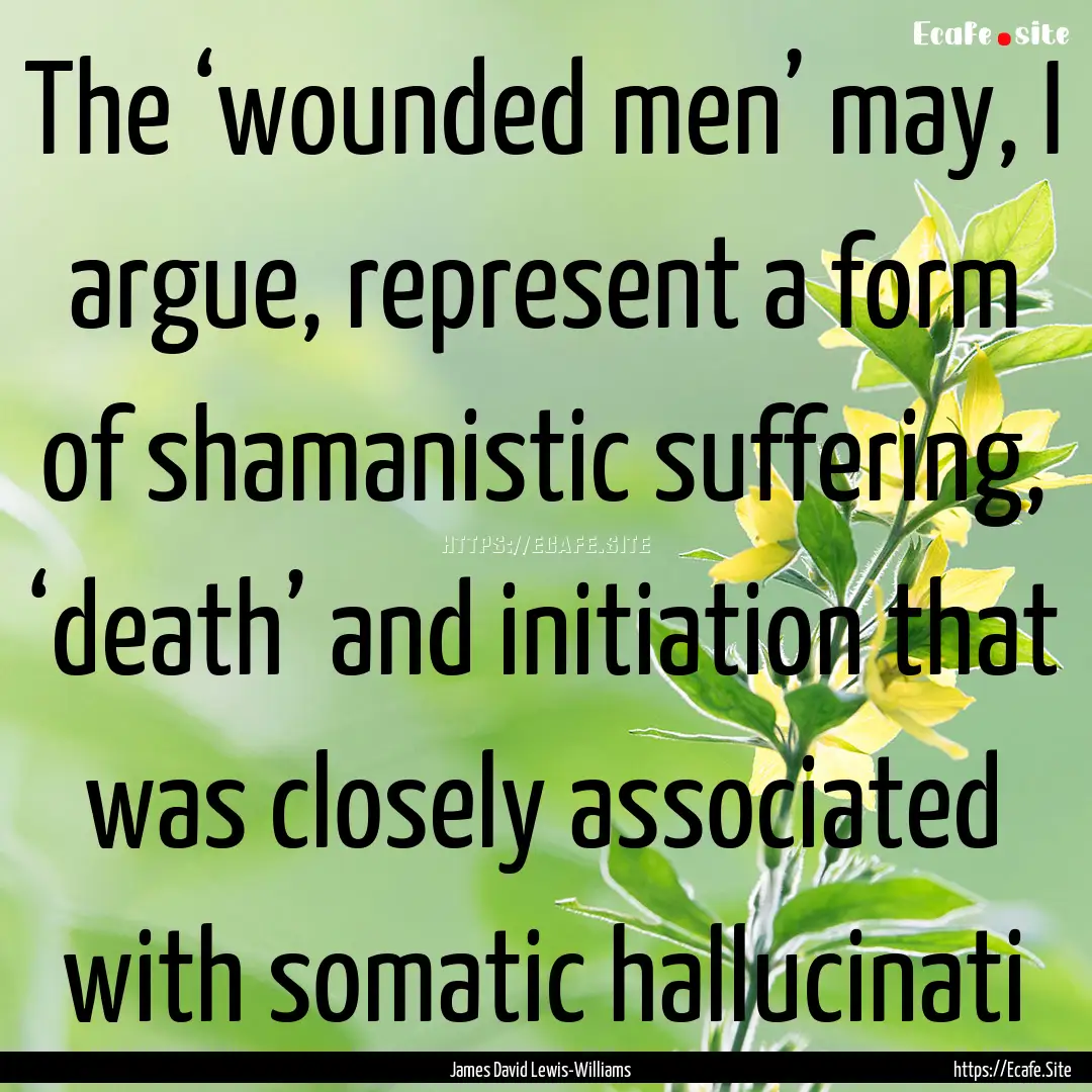 The ‘wounded men’ may, I argue, represent.... : Quote by James David Lewis-Williams