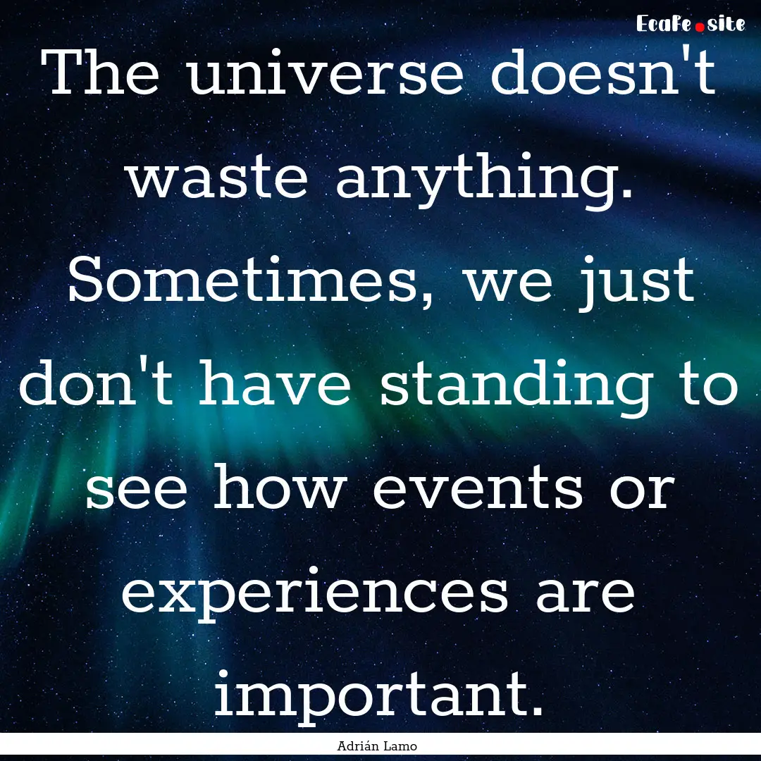 The universe doesn't waste anything. Sometimes,.... : Quote by Adrián Lamo