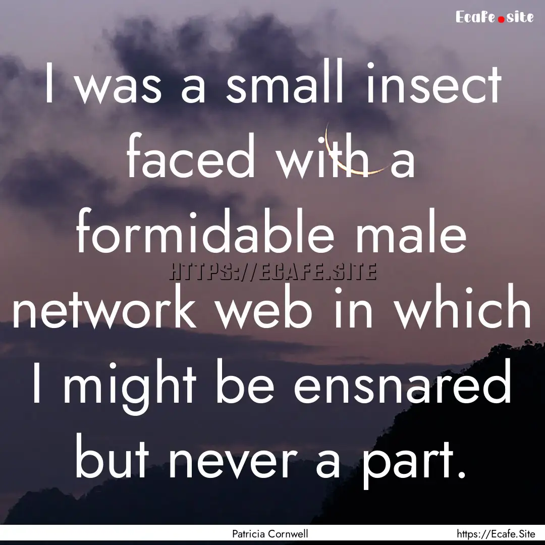 I was a small insect faced with a formidable.... : Quote by Patricia Cornwell