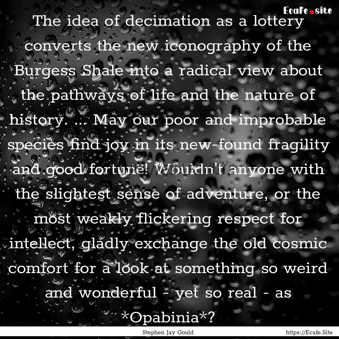 The idea of decimation as a lottery converts.... : Quote by Stephen Jay Gould