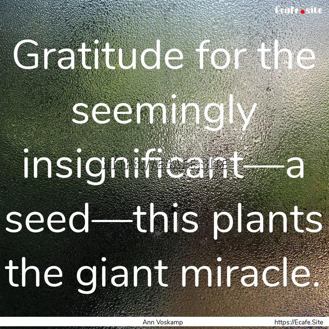 Gratitude for the seemingly insignificant—a.... : Quote by Ann Voskamp