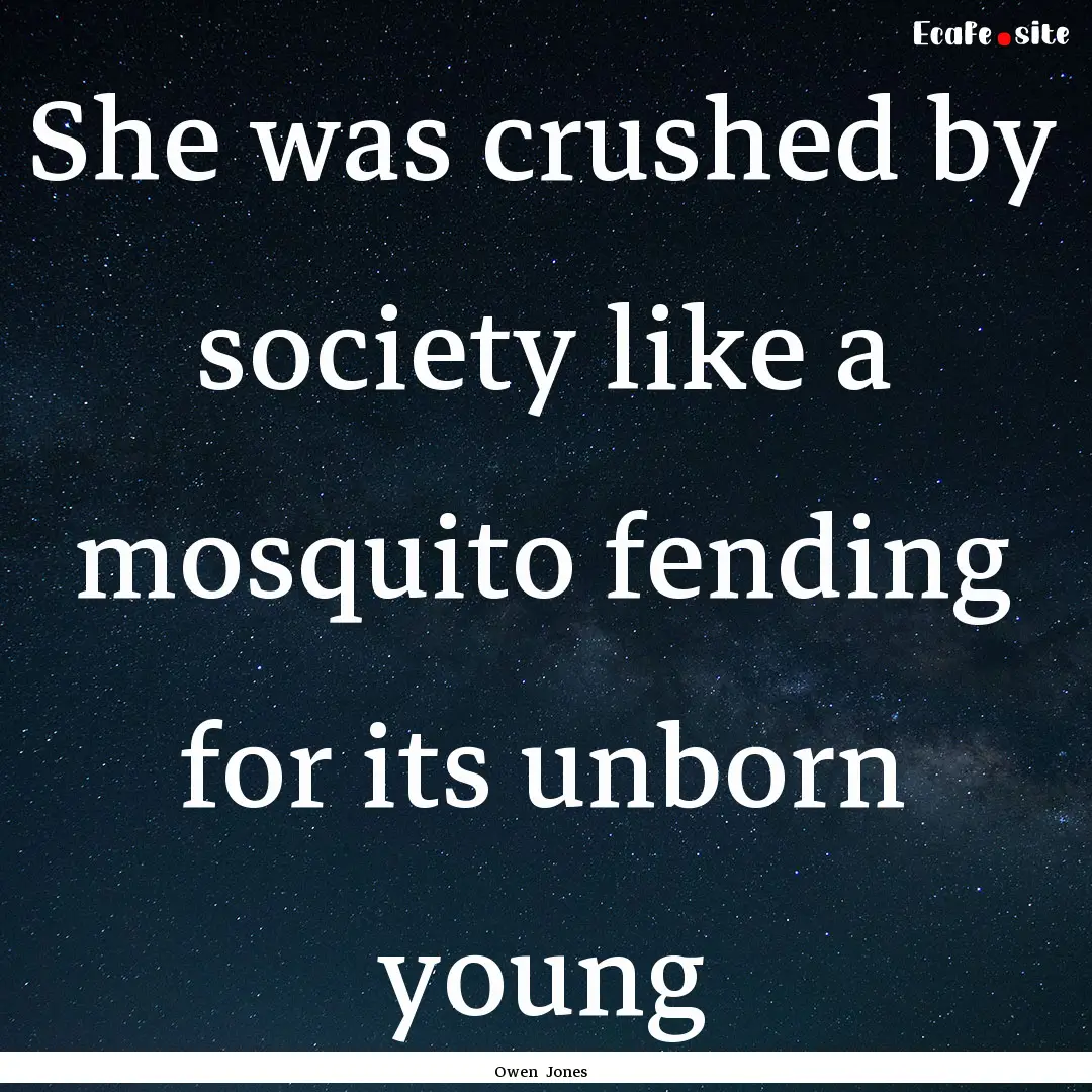 She was crushed by society like a mosquito.... : Quote by Owen Jones