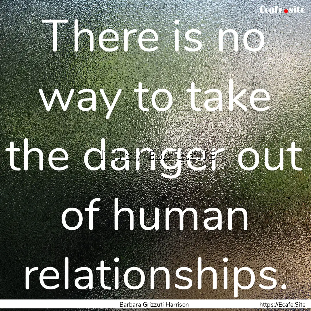 There is no way to take the danger out of.... : Quote by Barbara Grizzuti Harrison