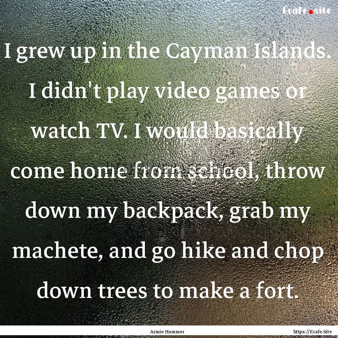 I grew up in the Cayman Islands. I didn't.... : Quote by Armie Hammer