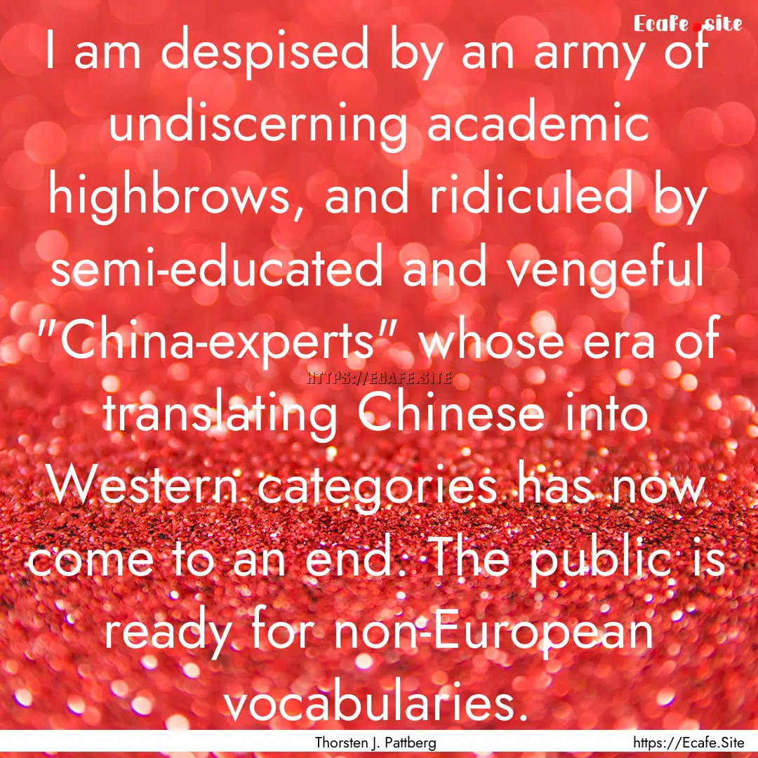 I am despised by an army of undiscerning.... : Quote by Thorsten J. Pattberg