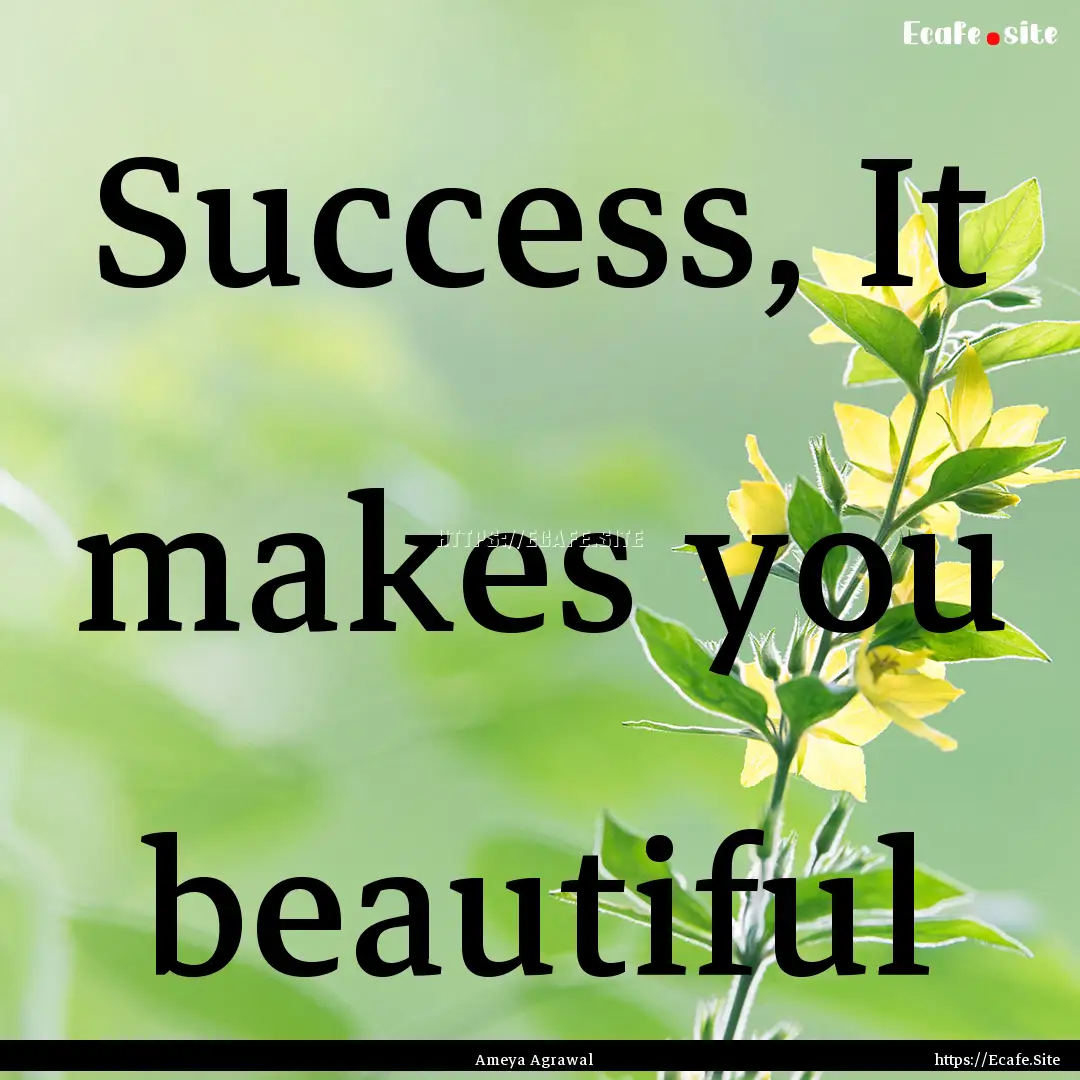 Success, It makes you beautiful : Quote by Ameya Agrawal