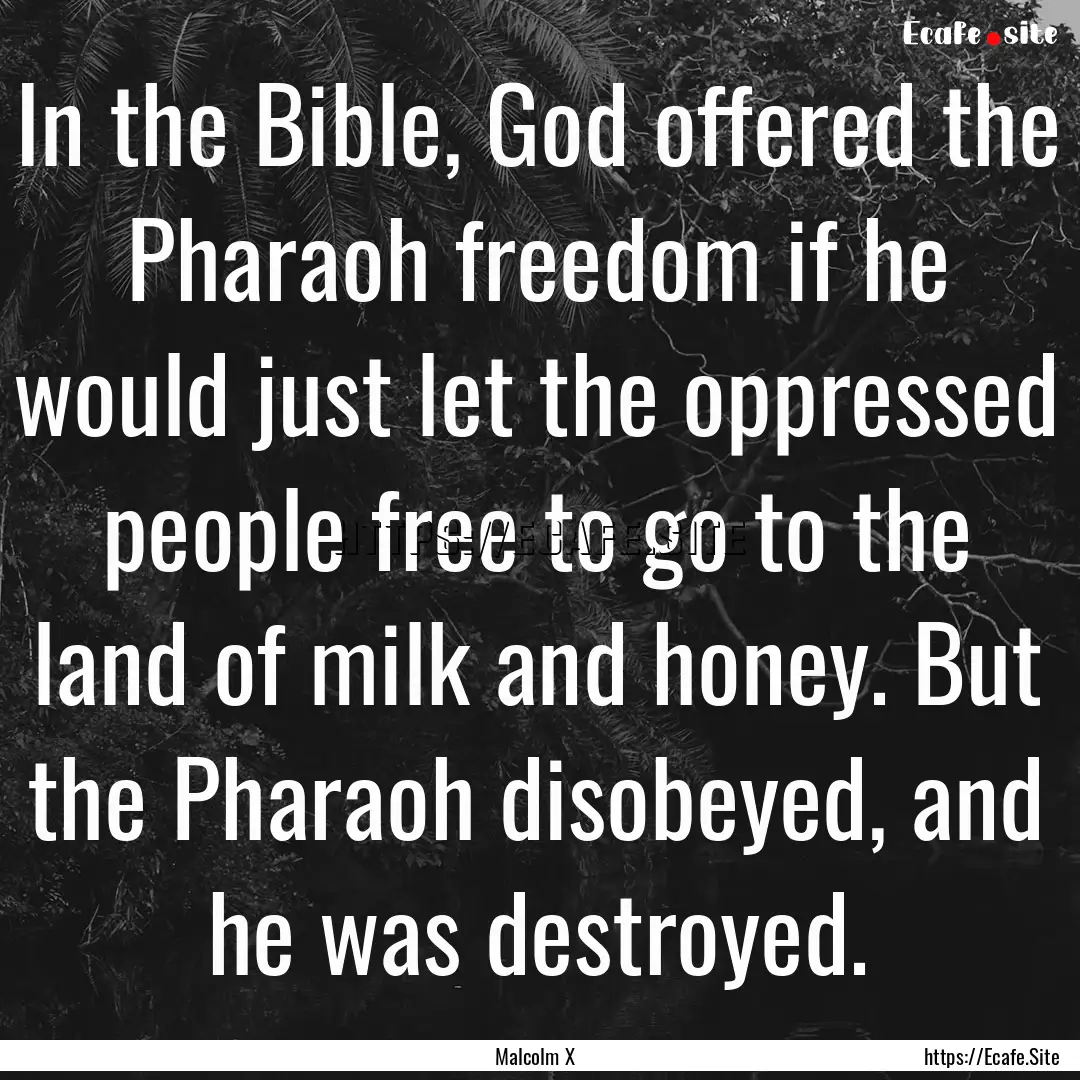 In the Bible, God offered the Pharaoh freedom.... : Quote by Malcolm X