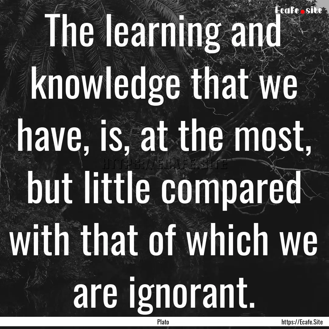 The learning and knowledge that we have,.... : Quote by Plato