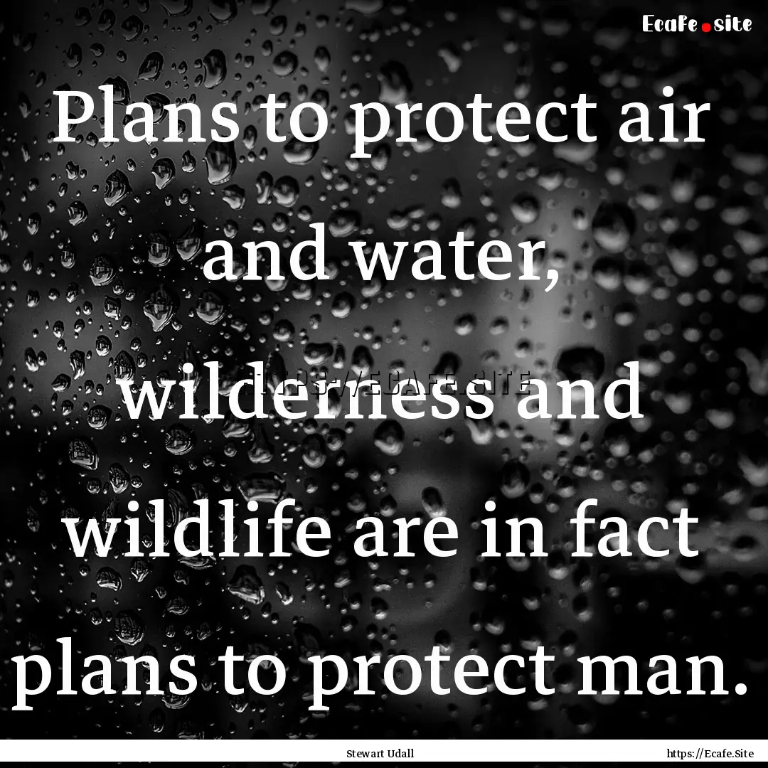 Plans to protect air and water, wilderness.... : Quote by Stewart Udall