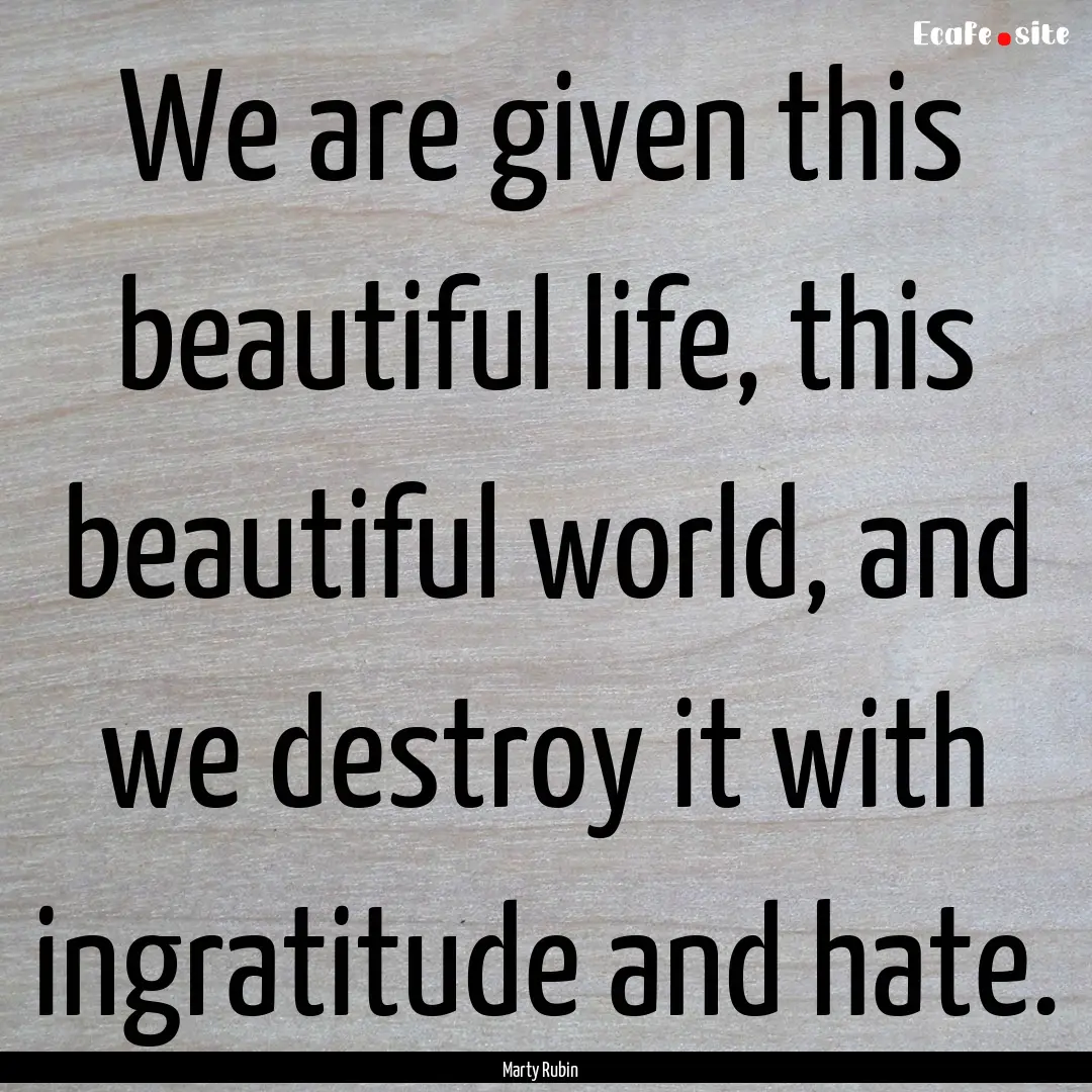 We are given this beautiful life, this beautiful.... : Quote by Marty Rubin