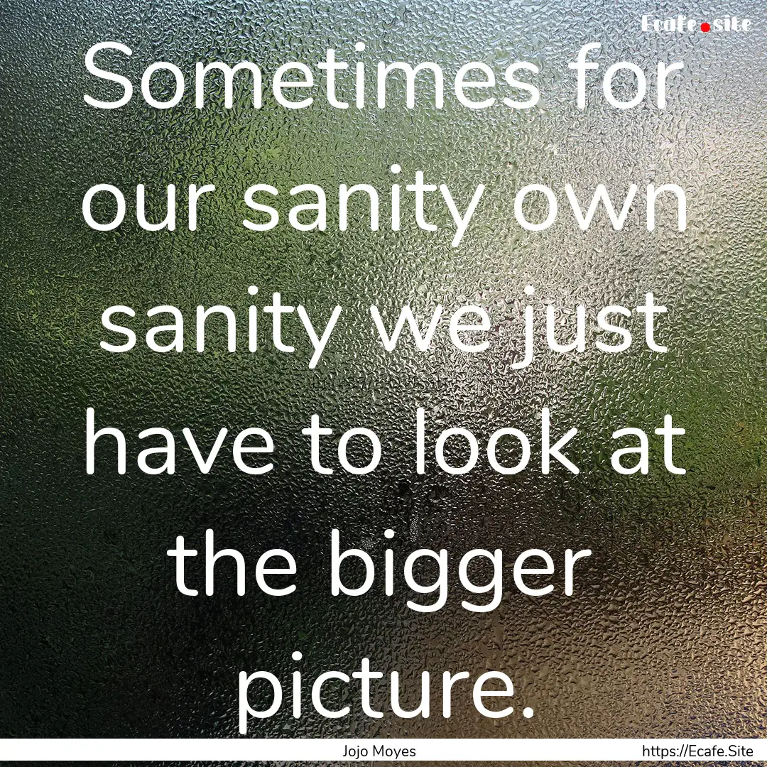 Sometimes for our sanity own sanity we just.... : Quote by Jojo Moyes