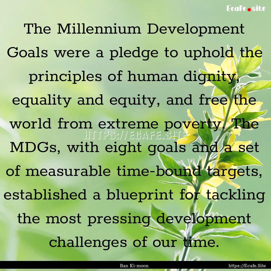 The Millennium Development Goals were a pledge.... : Quote by Ban Ki-moon