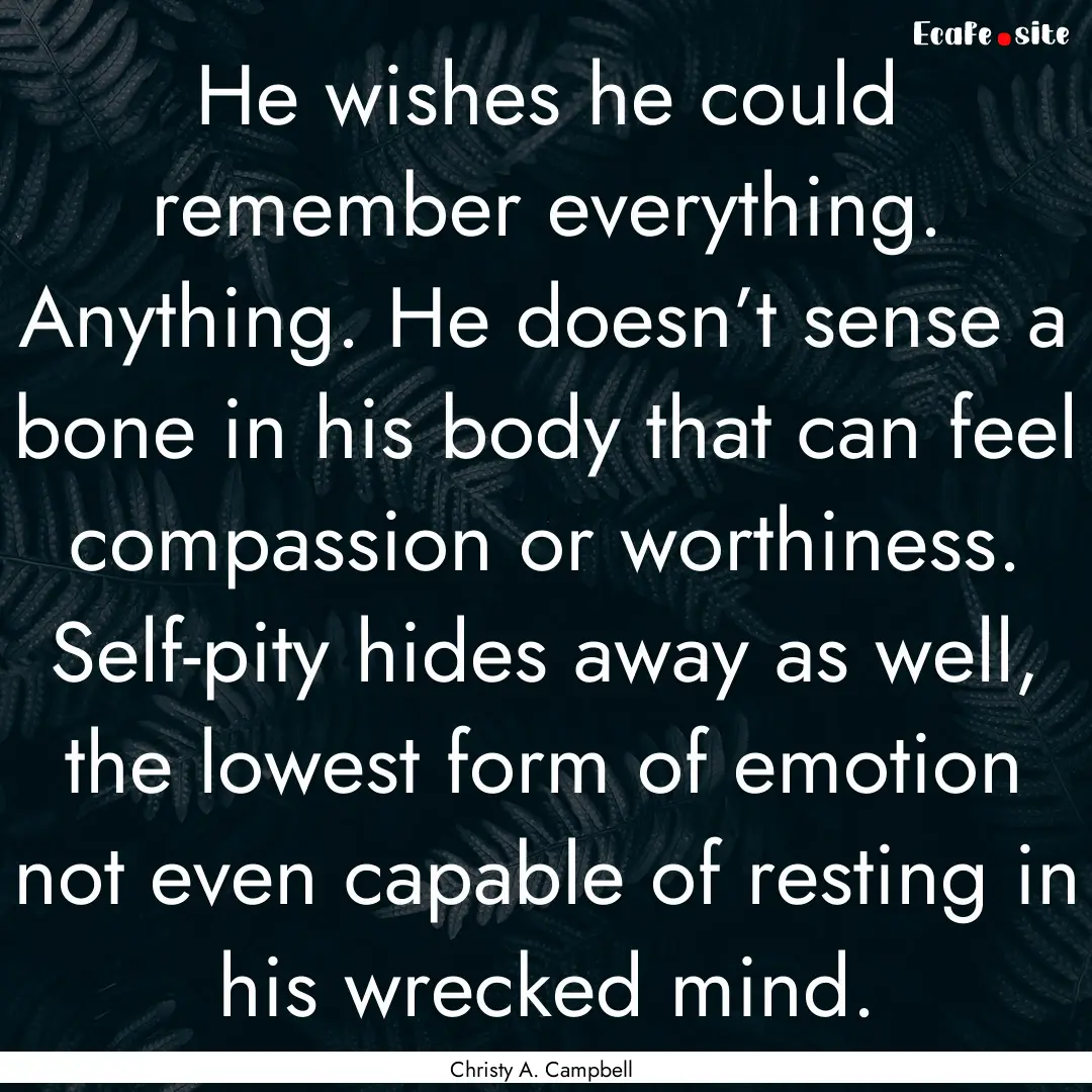 He wishes he could remember everything. Anything..... : Quote by Christy A. Campbell