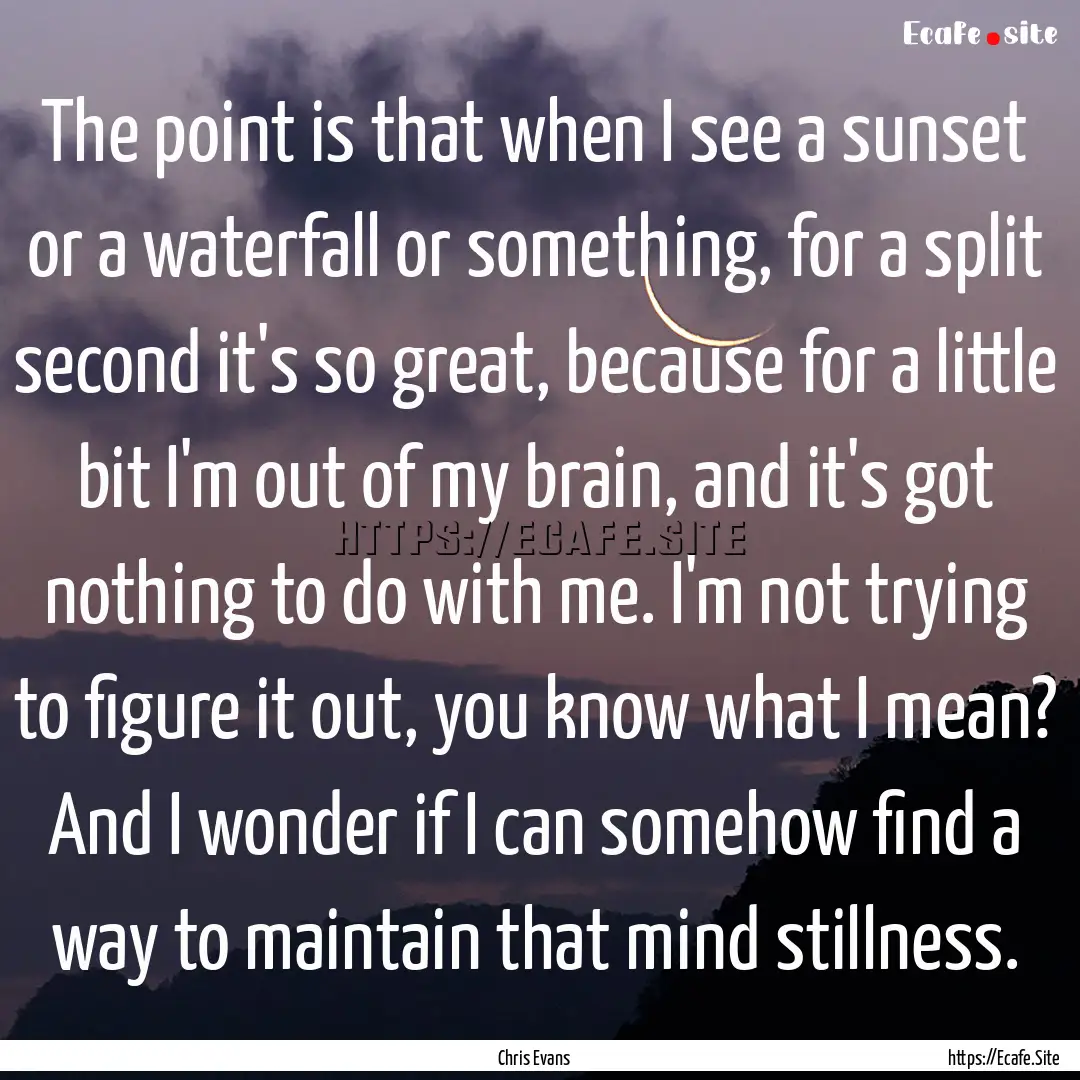 The point is that when I see a sunset or.... : Quote by Chris Evans