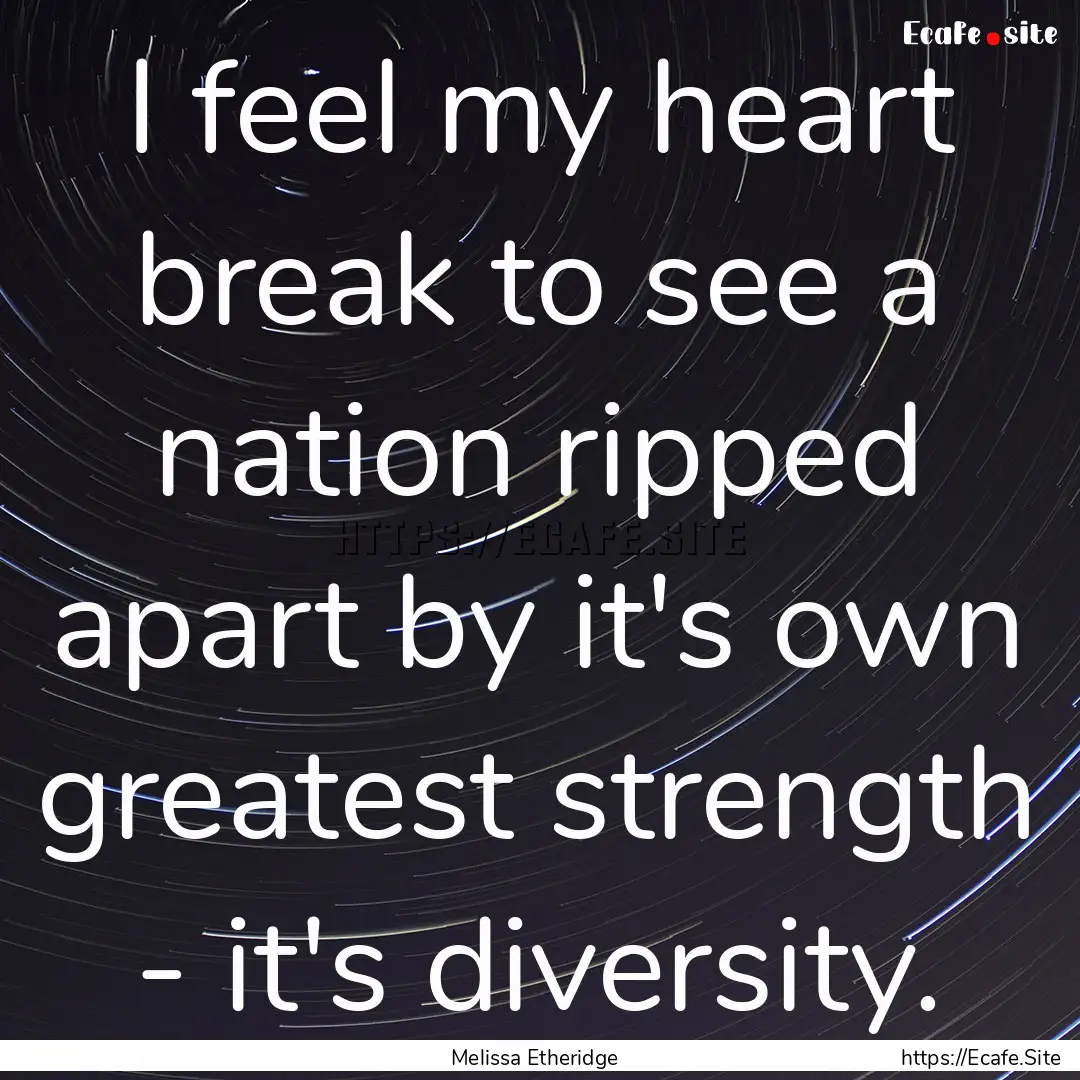 I feel my heart break to see a nation ripped.... : Quote by Melissa Etheridge