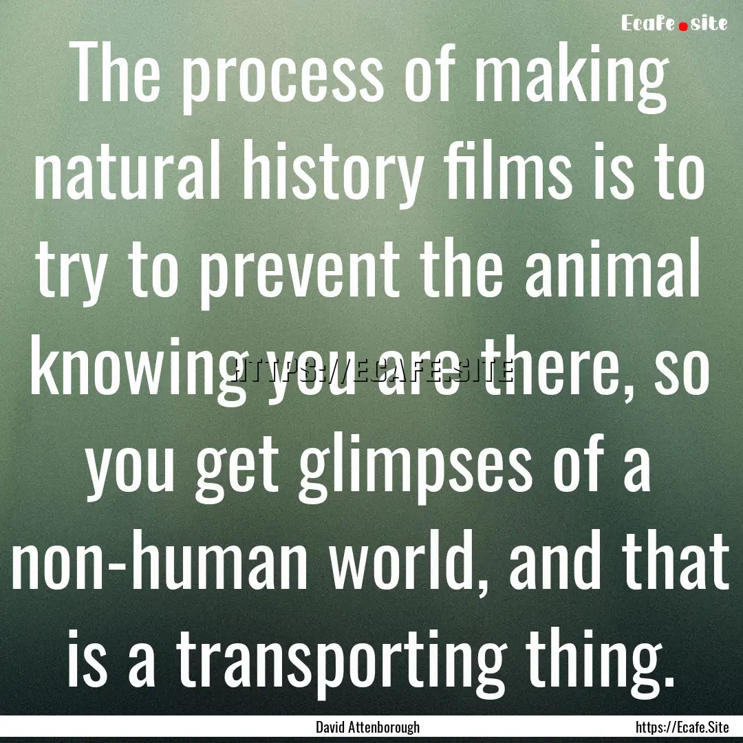 The process of making natural history films.... : Quote by David Attenborough