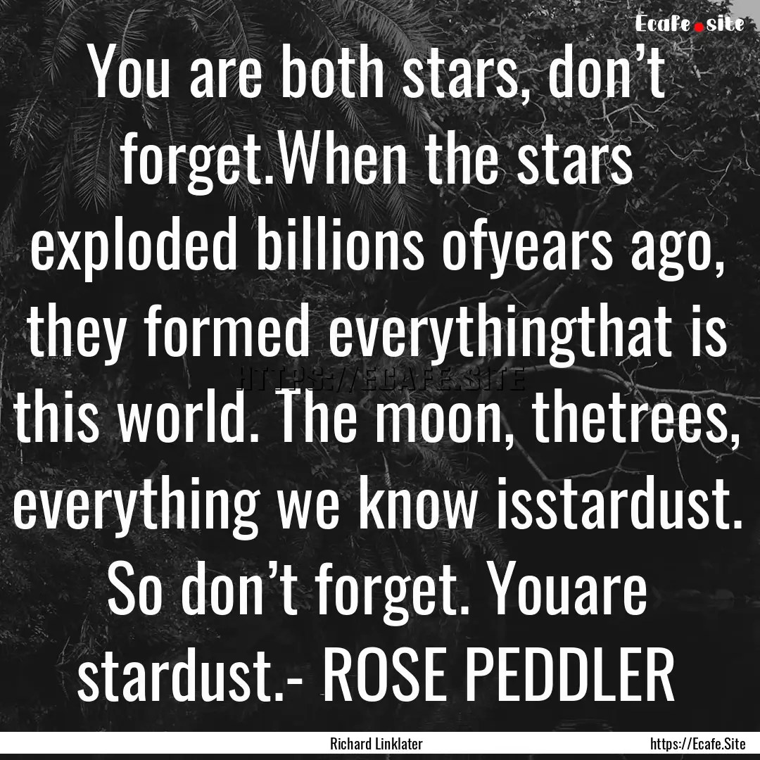 You are both stars, don’t forget.When the.... : Quote by Richard Linklater