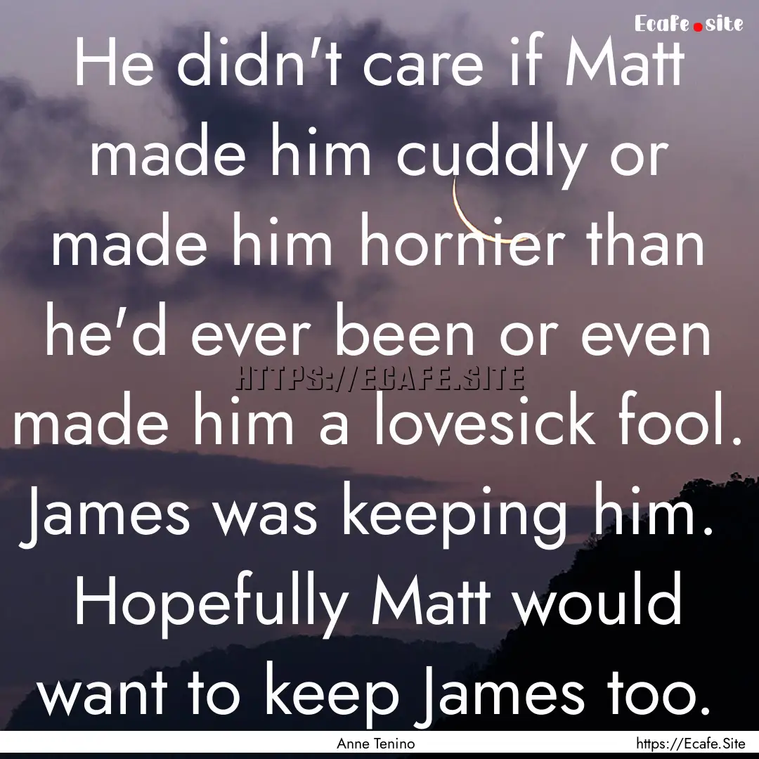 He didn't care if Matt made him cuddly or.... : Quote by Anne Tenino