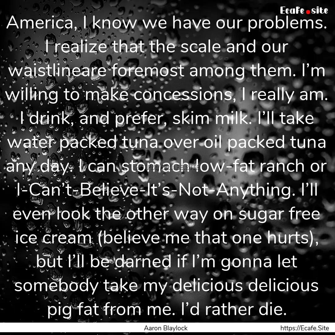 America, I know we have our problems. I realize.... : Quote by Aaron Blaylock