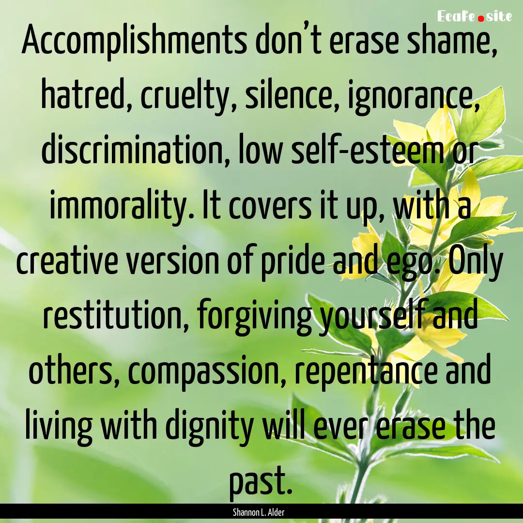 Accomplishments don’t erase shame, hatred,.... : Quote by Shannon L. Alder