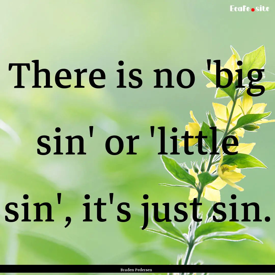 There is no 'big sin' or 'little sin', it's.... : Quote by Braden Pedersen