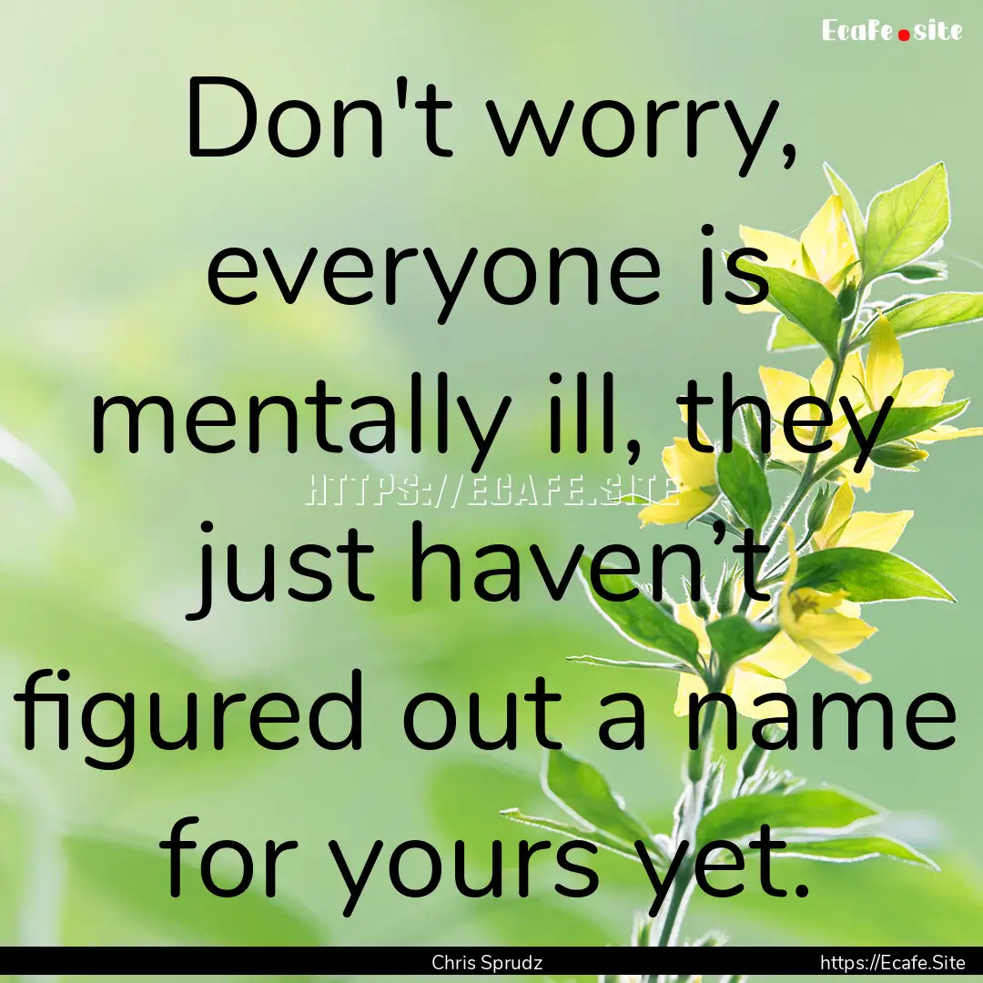 Don't worry, everyone is mentally ill, they.... : Quote by Chris Sprudz