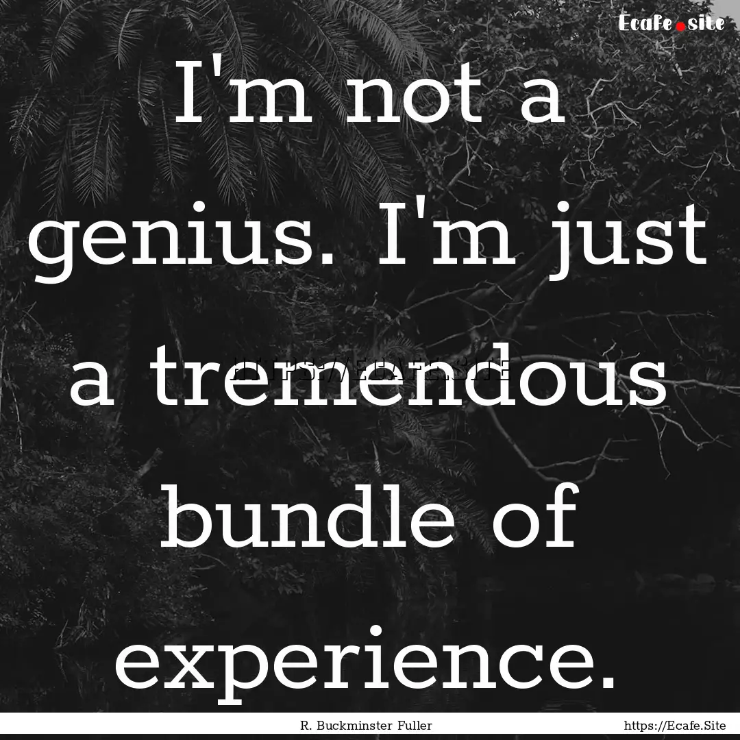 I'm not a genius. I'm just a tremendous bundle.... : Quote by R. Buckminster Fuller