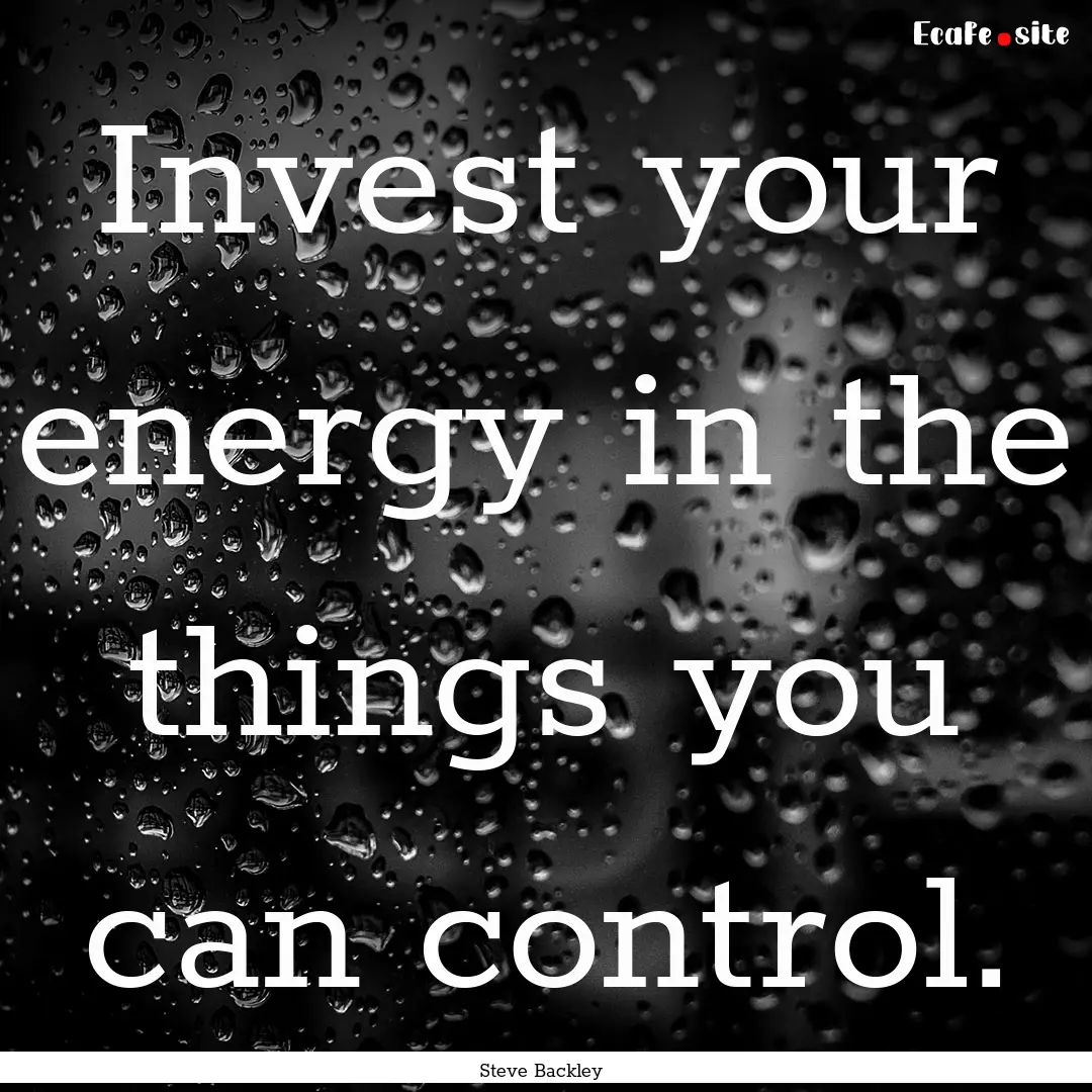 Invest your energy in the things you can.... : Quote by Steve Backley