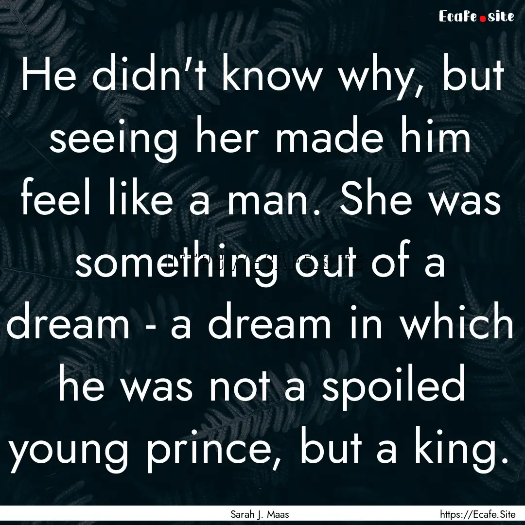 He didn't know why, but seeing her made him.... : Quote by Sarah J. Maas