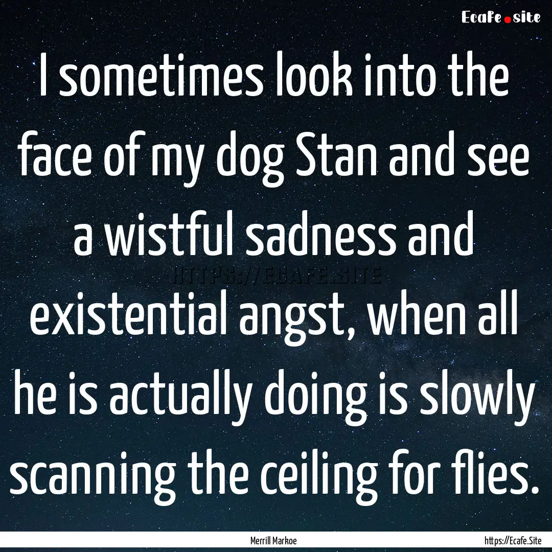 I sometimes look into the face of my dog.... : Quote by Merrill Markoe